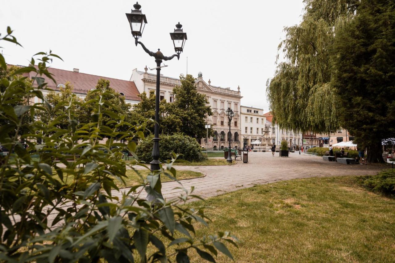 Cathedral Apartment Szczecin Bagian luar foto